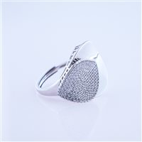 Anneau Femme in Argent Cubic Zirconia FGAN00407